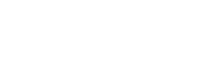 Light & Wonder